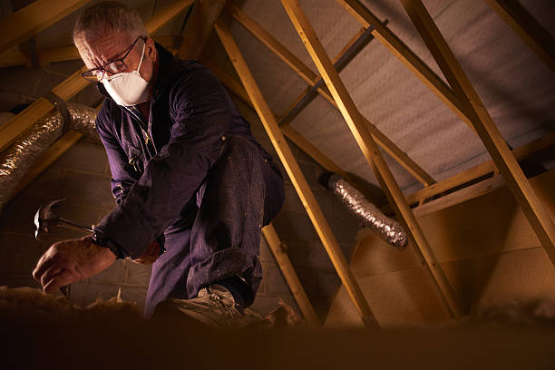 Best Insulation Maintenance and Repair in Columbia Falls, MT